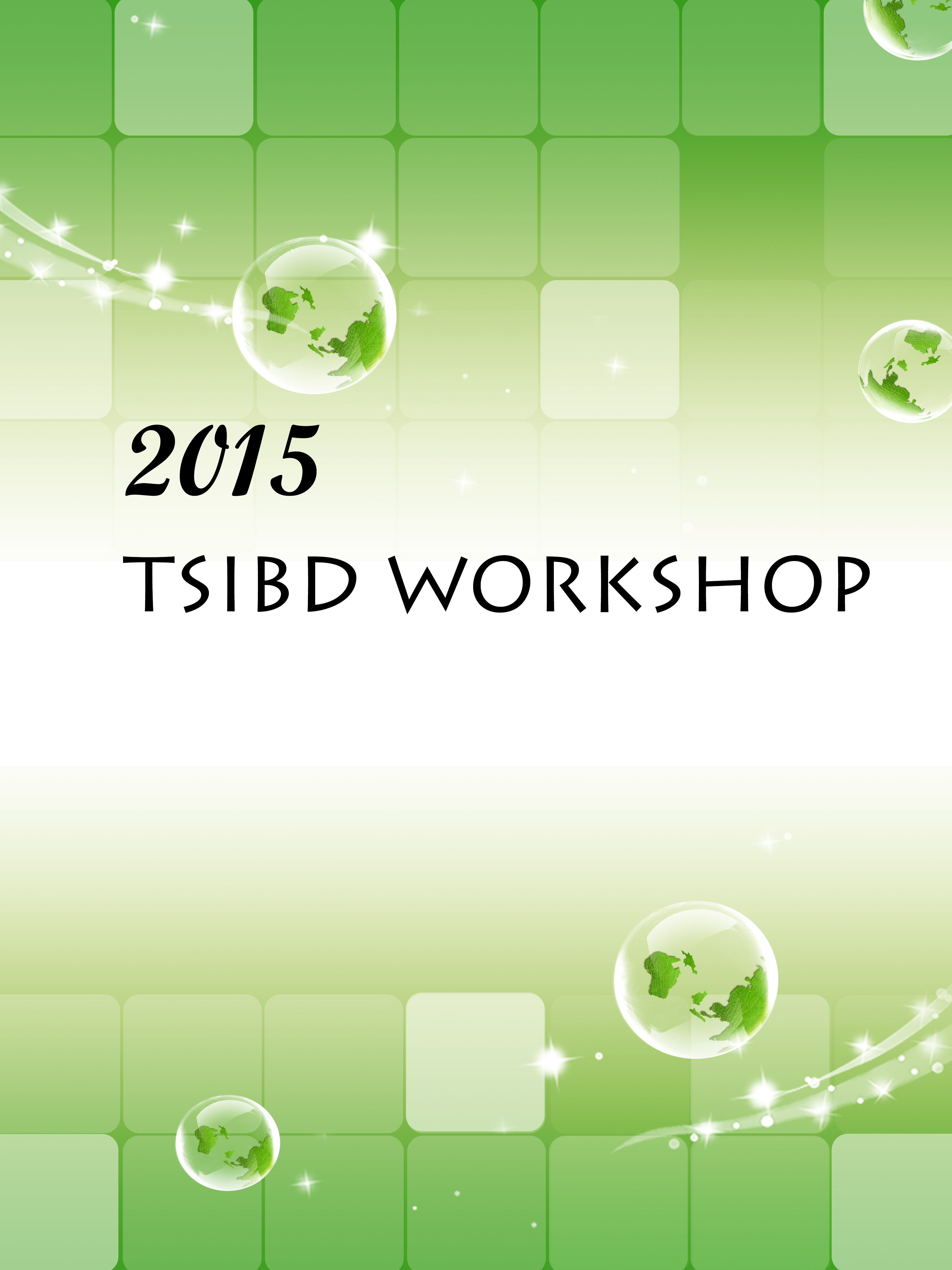 2015 11/14-15 TSIBD Workshop